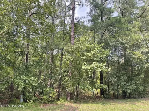 7 Country Lane Ellerbe NC 28338