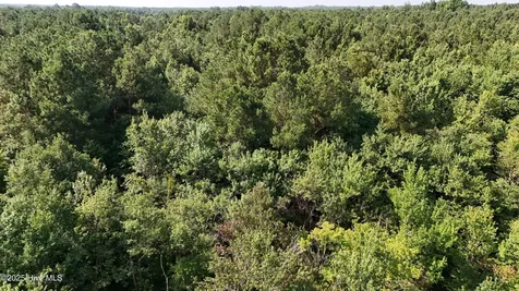 0 Reedsford Road Turkey NC 28393