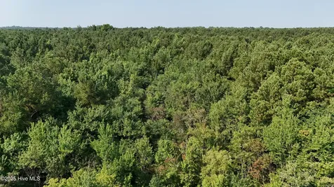 0 Reedsford Road Turkey NC 28393
