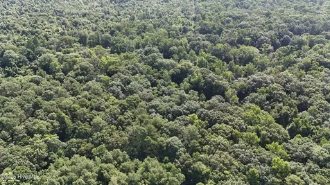 0 Reedsford Road Turkey NC 28393