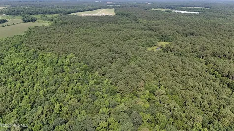 0 Reedsford Road Turkey NC 28393