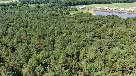 0 Reedsford Road Turkey NC 28393