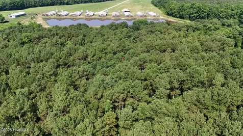 0 Reedsford Road Turkey NC 28393