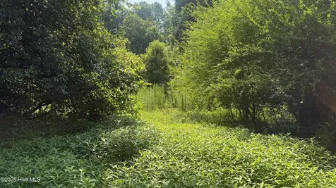 0 Reedsford Road Turkey NC 28393