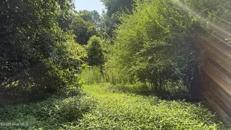 0 Reedsford Road Turkey NC 28393