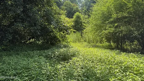 0 Reedsford Road Turkey NC 28393
