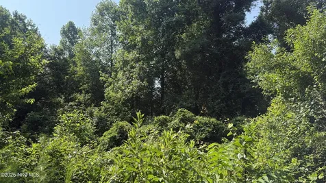 0 Reedsford Road Turkey NC 28393