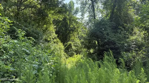 0 Reedsford Road Turkey NC 28393