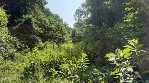 0 Reedsford Road Turkey NC 28393