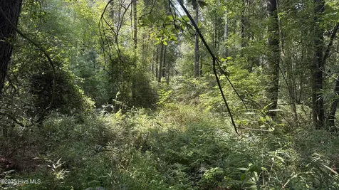 0 Reedsford Road Turkey NC 28393