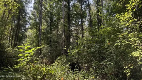 0 Reedsford Road Turkey NC 28393