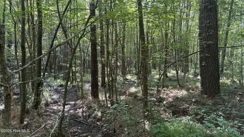 0 Reedsford Road Turkey NC 28393