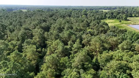 0 Reedsford Road Turkey NC 28393