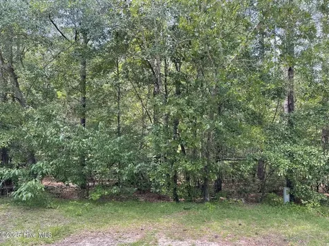8 Country Lane Ellerbe NC 28338