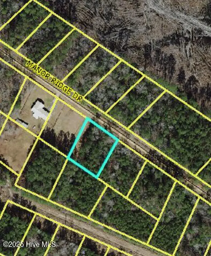 Lot 43 Manor Ridge Drive Clarkton NC 28433
