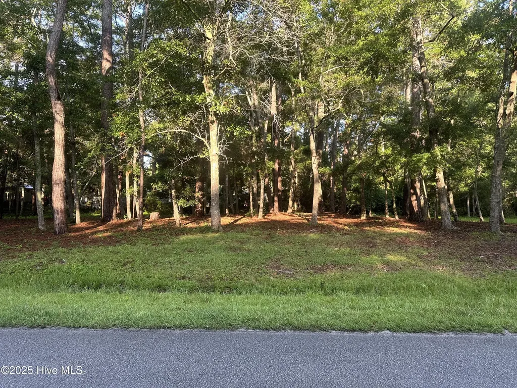 1784 Oak Street SW Ocean Isle Beach NC 28469