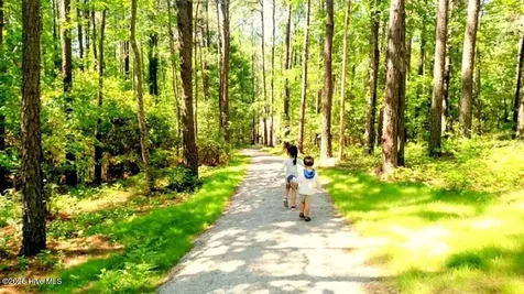 203 Wild Cherry Lane Minnesott Beach NC 28510