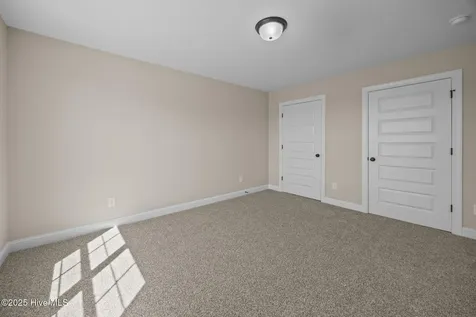 313 Gerbera Court Greenville NC 27858