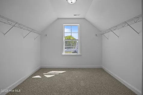 313 Gerbera Court Greenville NC 27858