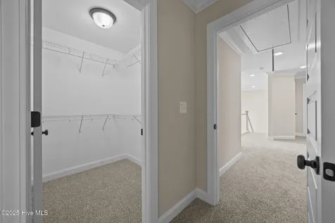 313 Gerbera Court Greenville NC 27858