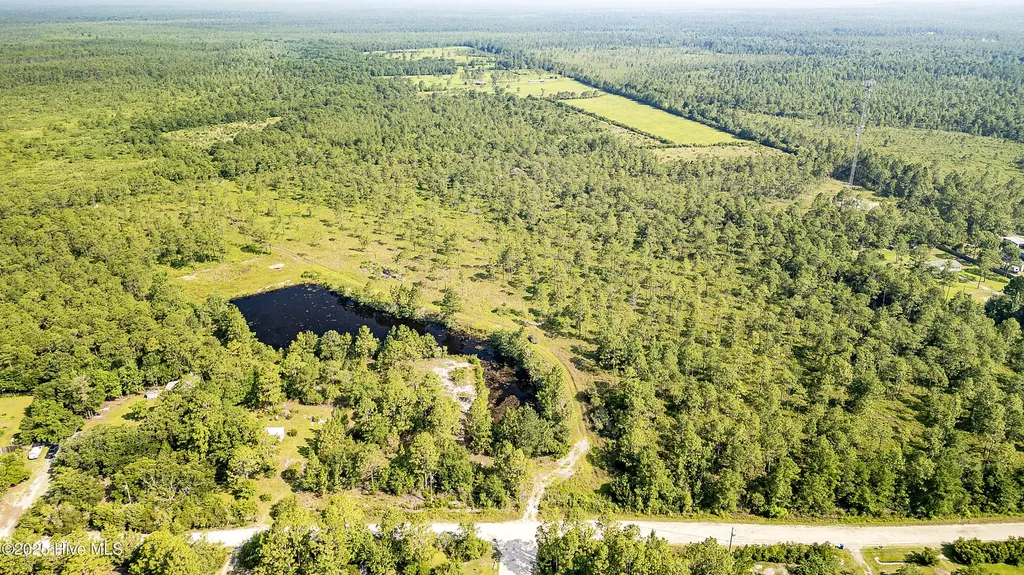 34.38 Ac Stag Drive Hampstead NC 28443