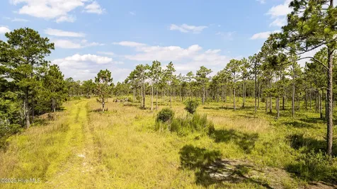 34.38 Ac Stag Drive Hampstead NC 28443