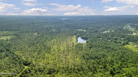 34.38 Ac Stag Drive Hampstead NC 28443