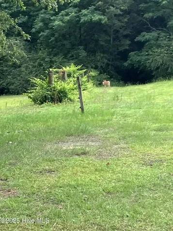 2326 Us-117 Faison NC 28341