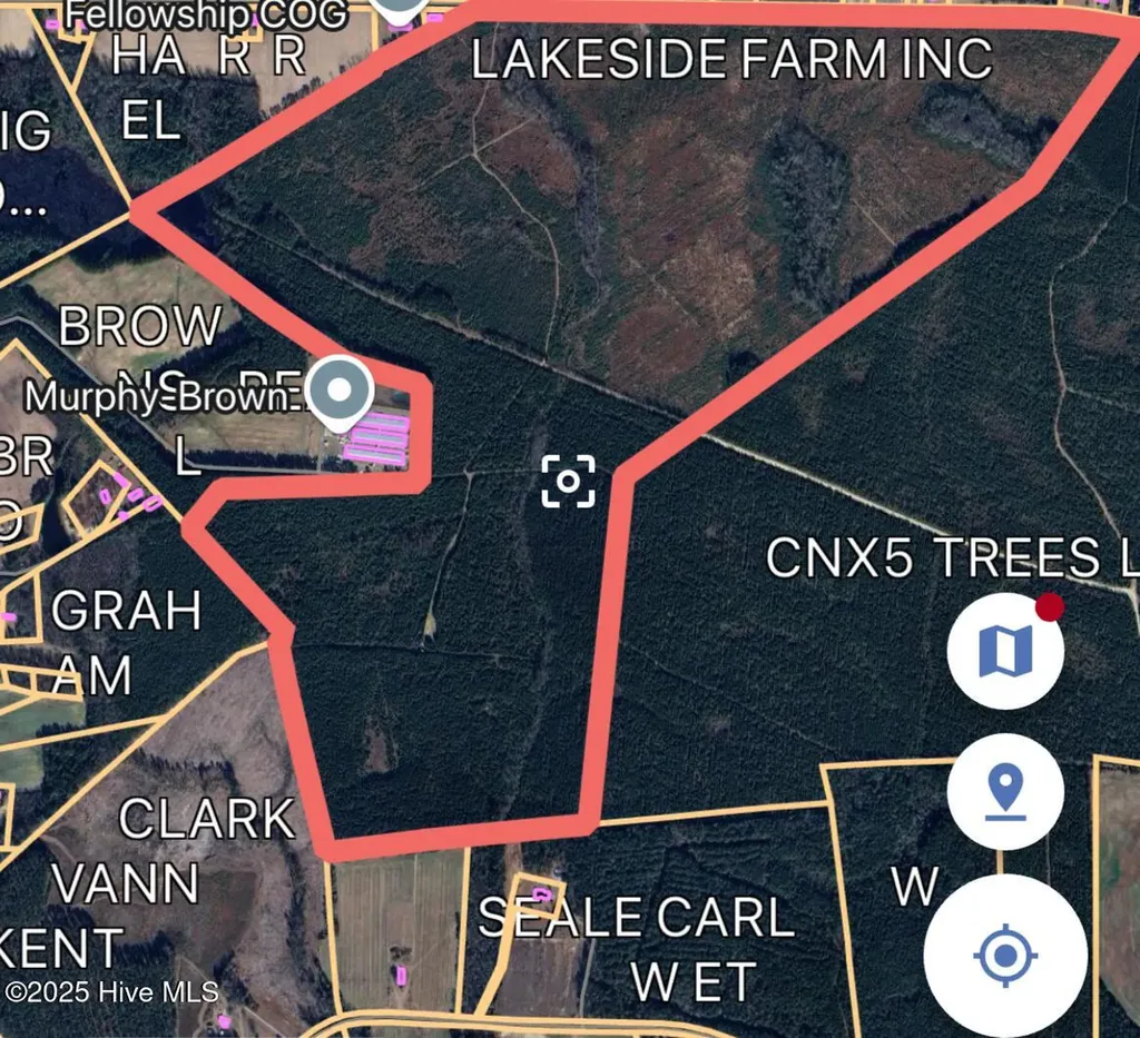 0 Lisbon Road Clarkton NC 28433