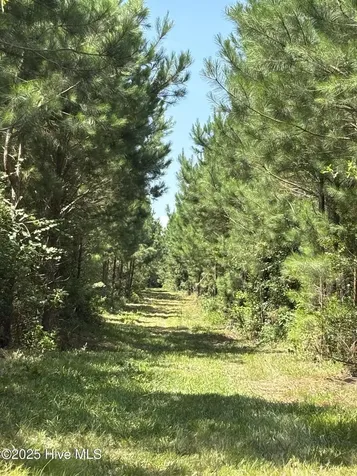 0 Lisbon Road Clarkton NC 28433