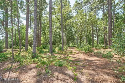 16 Moore Drive Pinehurst NC 28374