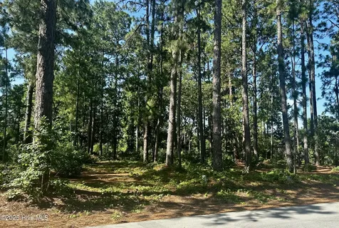 16 Moore Drive Pinehurst NC 28374