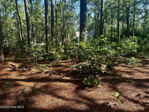 16 Moore Drive Pinehurst NC 28374