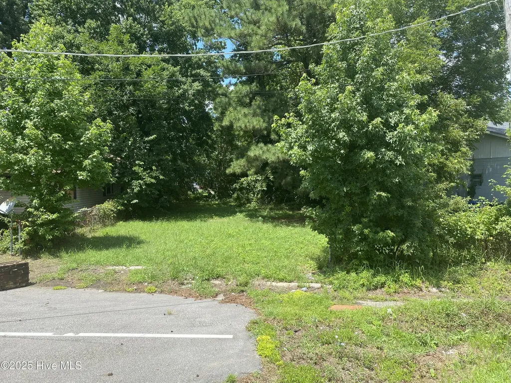 1207 Lincoln Street SE Wilson NC 27893