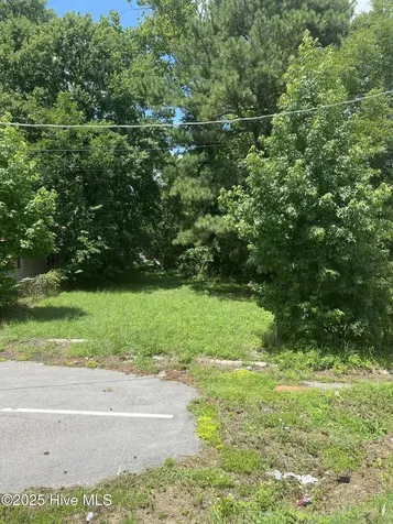 1207 Lincoln Street SE Wilson NC 27893