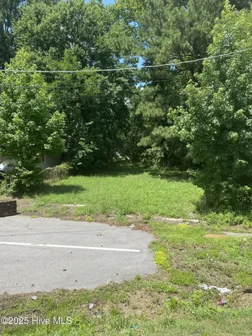 1207 Lincoln Street SE Wilson NC 27893