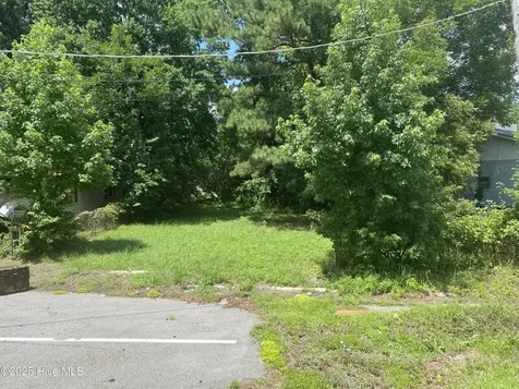 1207 Lincoln Street SE Wilson NC 27893