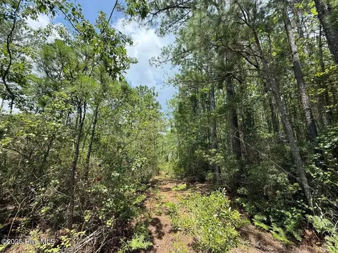 Lot 95 Carolina Shores Bath NC 27808