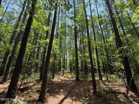 Lot 95 Carolina Shores Bath NC 27808