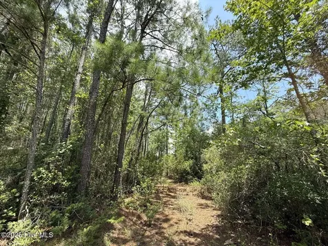 Lot 95 Carolina Shores Bath NC 27808