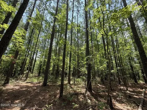 Lot 95 Carolina Shores Bath NC 27808