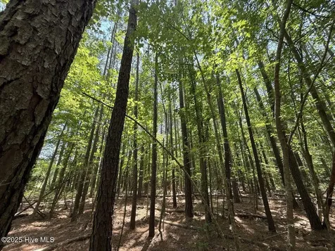 Lot 95 Carolina Shores Bath NC 27808