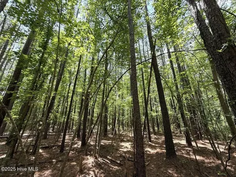 Lot 95 Carolina Shores Bath NC 27808