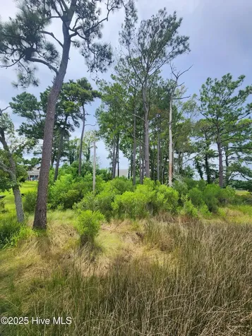 240 River Reach Drive Swansboro NC 28584