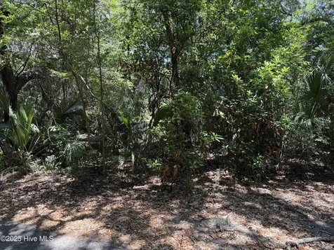 9 Red Cedar Trail Bald Head Island NC 28461