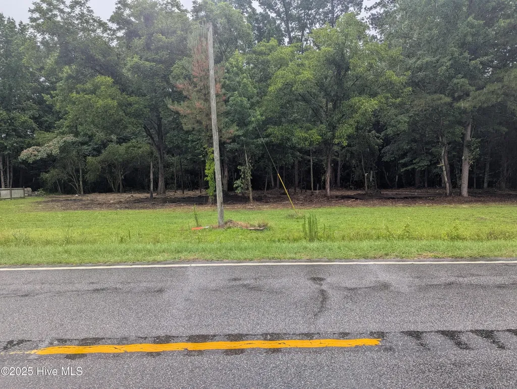 0 Nc Hwy111 Pinetops NC 27864