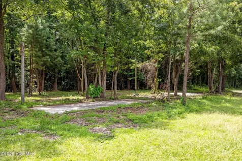 0 Nc Hwy111 Pinetops NC 27864