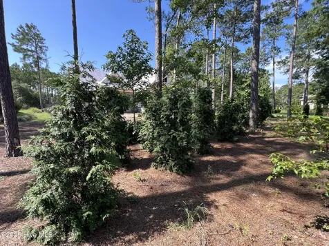 521 Lindgrove Place SW Ocean Isle Beach NC 28469
