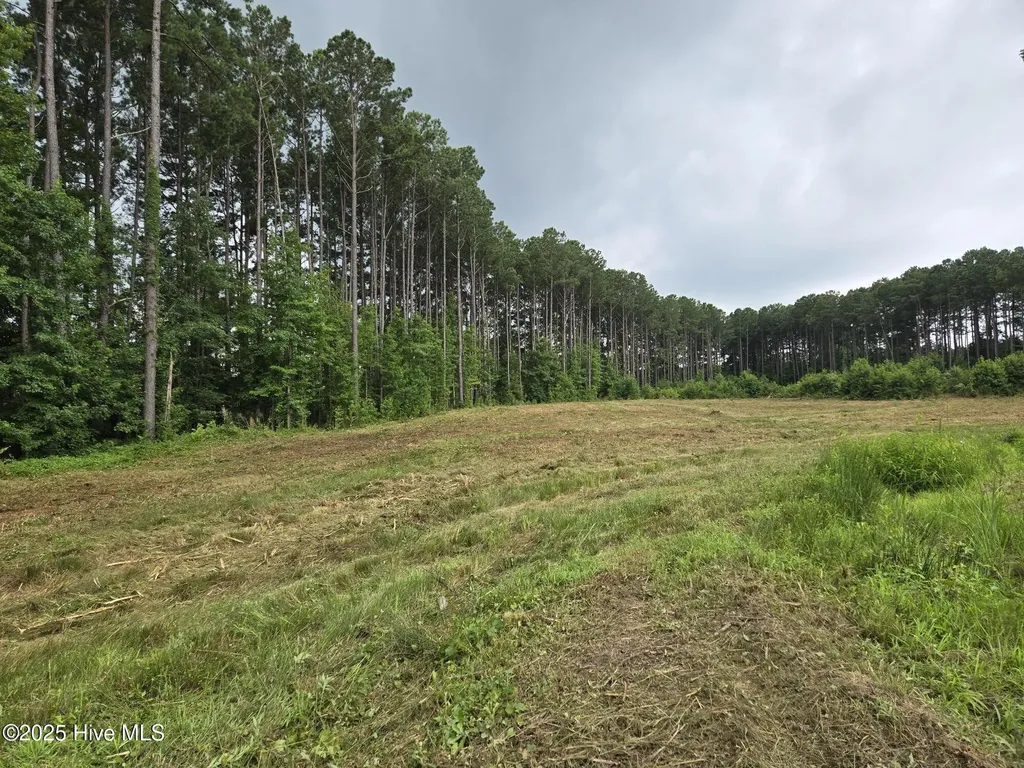 Lot 50 Roseheath Court Bailey NC 27807