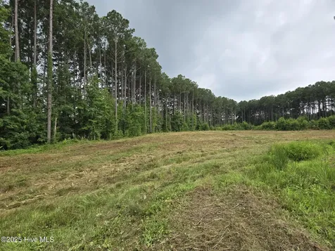 Lot 50 Roseheath Court Bailey NC 27807